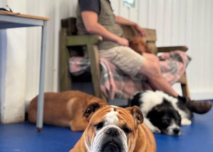 527990432_18121632961485866_8613690866459558018_n